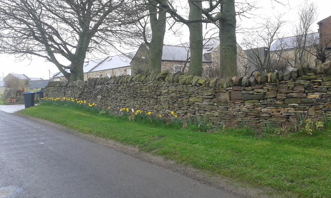 Hamsteels Hall Cottages Langley Park Exterior foto